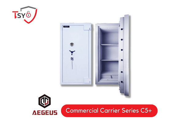 Aegeus Safety Box (Commercial Carrier Series C5+) - TSY Locksmith Selangor & Kuala Lumpur