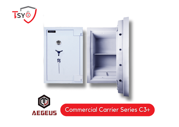 Aegeus Safety Box (Commercial Carrier Series C3+) - TSY Locksmith Selangor & Kuala Lumpur