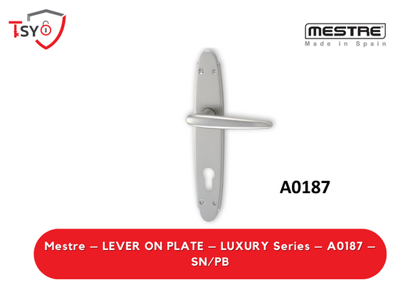 Mestre Lever on Plate (A0187-SN/PB) - TSY Locksmith Selangor & Kuala Lumpur