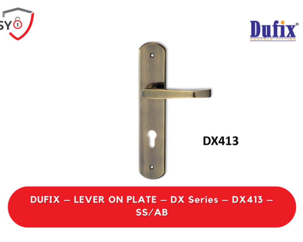 Dufix – Lever On Plate – Dx Series – DX413 – SS/AB