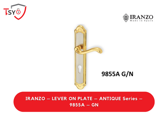 Iranzo Lever on Plate (9855A-GN) - TSY Locksmith Selangor & Kuala Lumpur